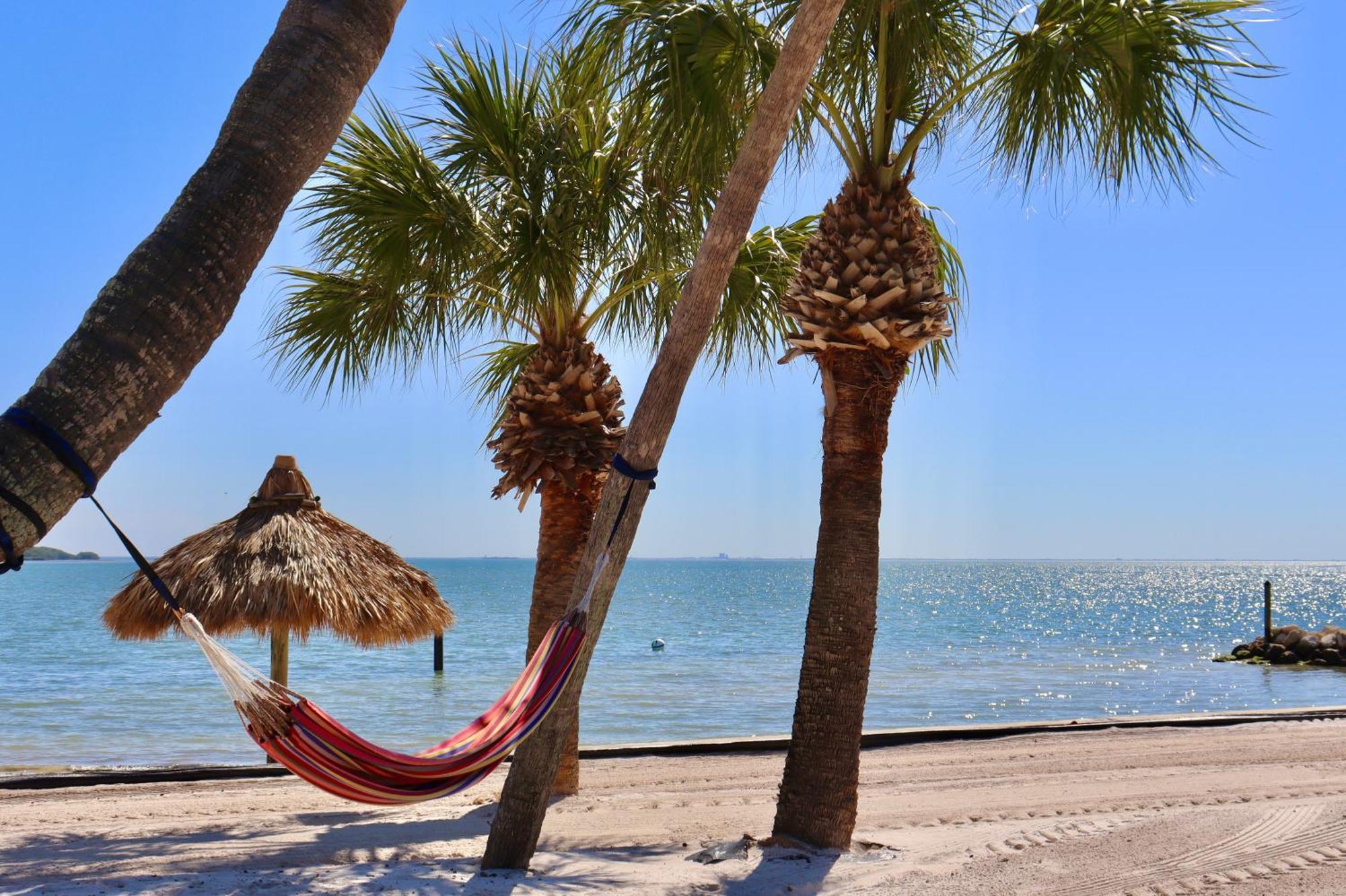סיינט פיטרסברג Skybeach Resort מראה חיצוני תמונה